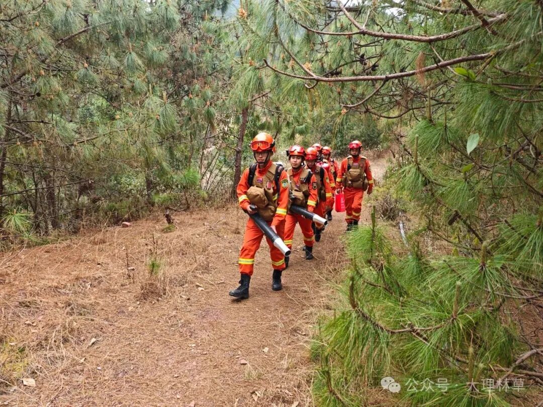 无火清明！大理在行动