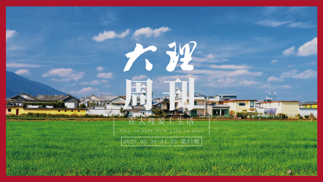 《大理周刊》第65期 #在大理爱上生活 #大理周刊