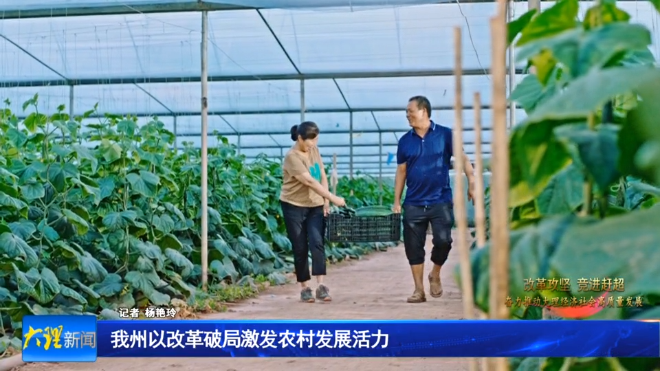 我州以改革破局激发农村发展活力