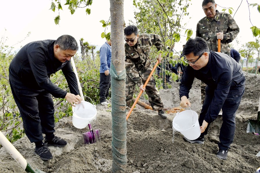 杨国宗、陈真永为树木浇灌定根水_proc_副本.jpg