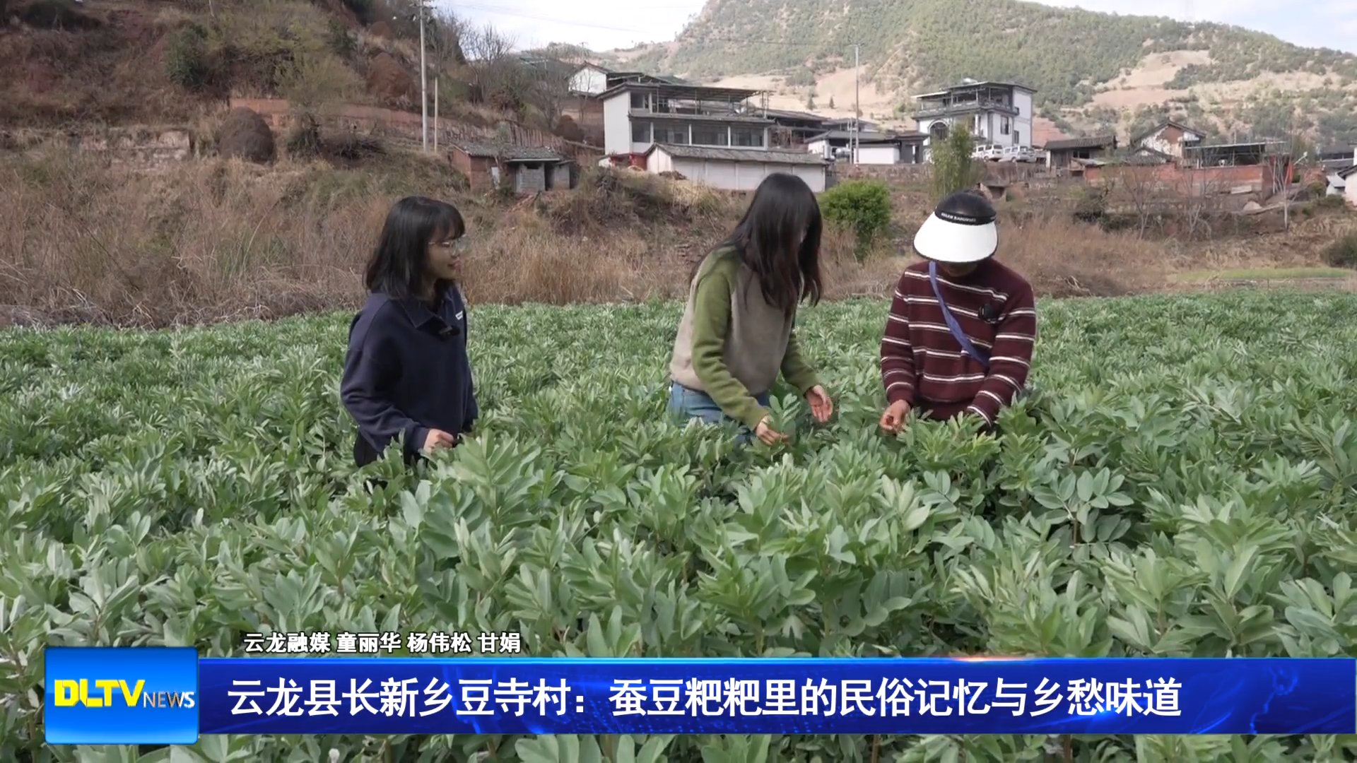 云龙县长新乡豆寺村：蚕豆粑粑里的民俗记忆与乡愁味道
