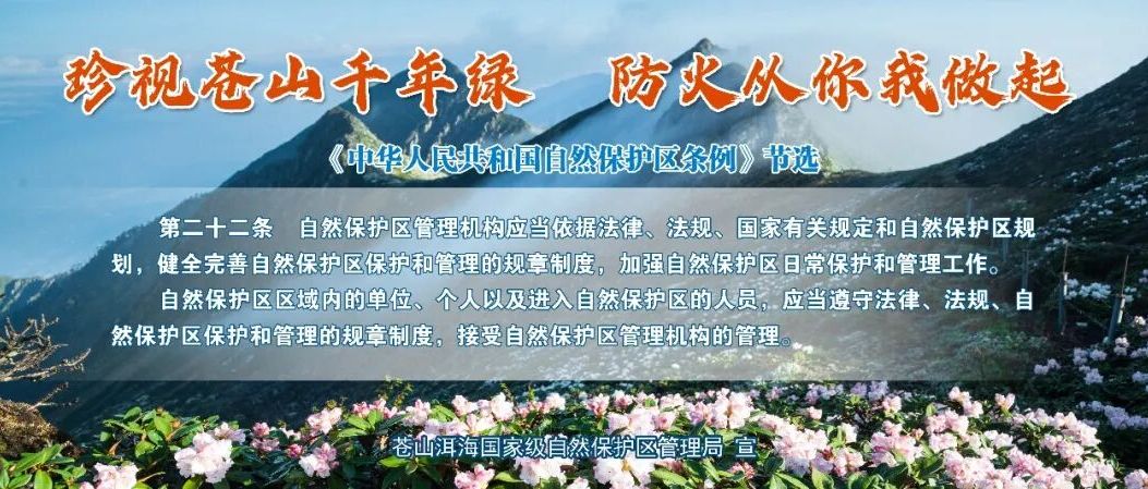 苍洱艺萃 | 礼赞70华诞，以艺韵书写苍洱新时代