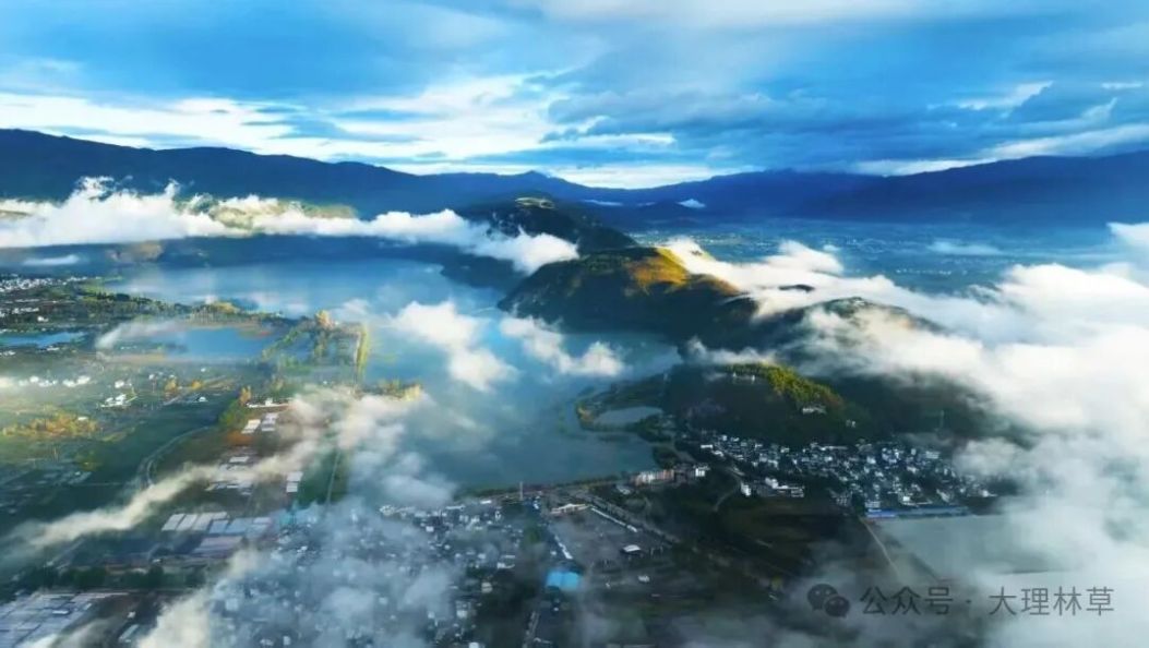 “云南洱源海菜花科技小院”获批设立