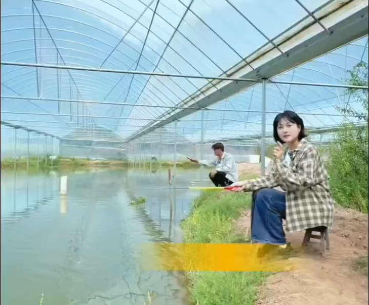 大棚恒温养大虾，南涧青年用科技解锁高山养殖~#在大理爱上生活 #青年创业