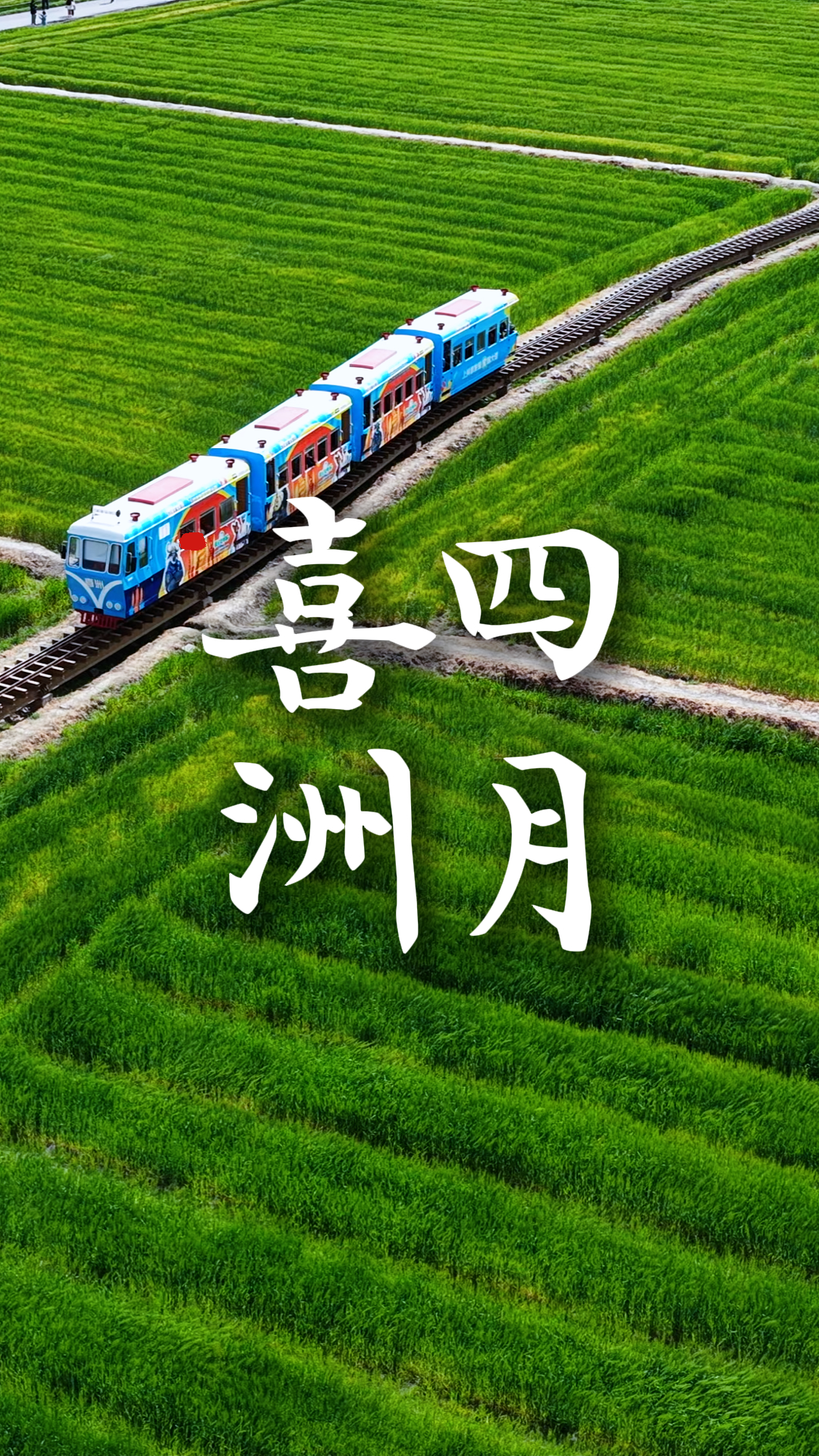 四月喜洲，感受复古小火车穿行青绿的春日浪漫 #在大理爱上生活 #喜洲古镇 #麦田 #小火车