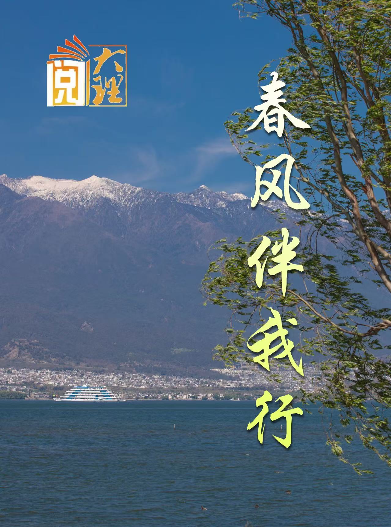 #在大理爱上生活 春风伴我行 #这里是大理 #旅居大理品味乡愁  #阅读大理