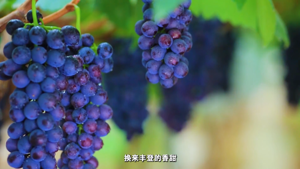 最美乡村之—宾川海稍村