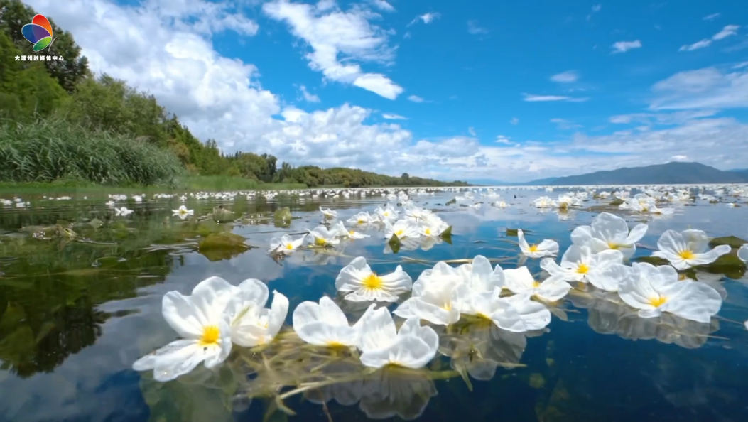 说唱大理十五五