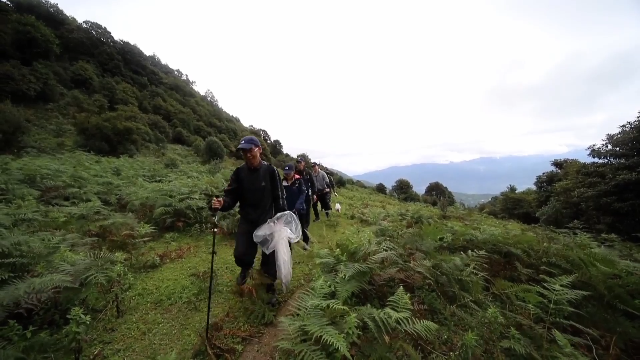 重磅！苍山综合科学考察成果发布：发现新记录物种超1000种→