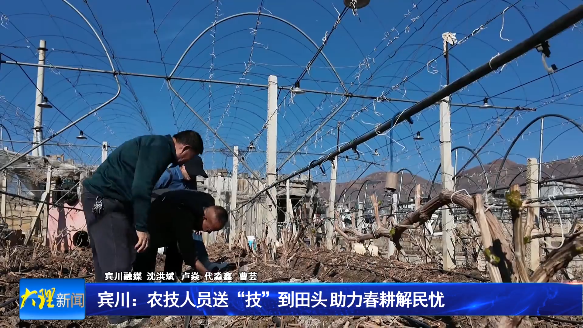 宾川：农技人员送“技”到田头 助力春耕解民忧