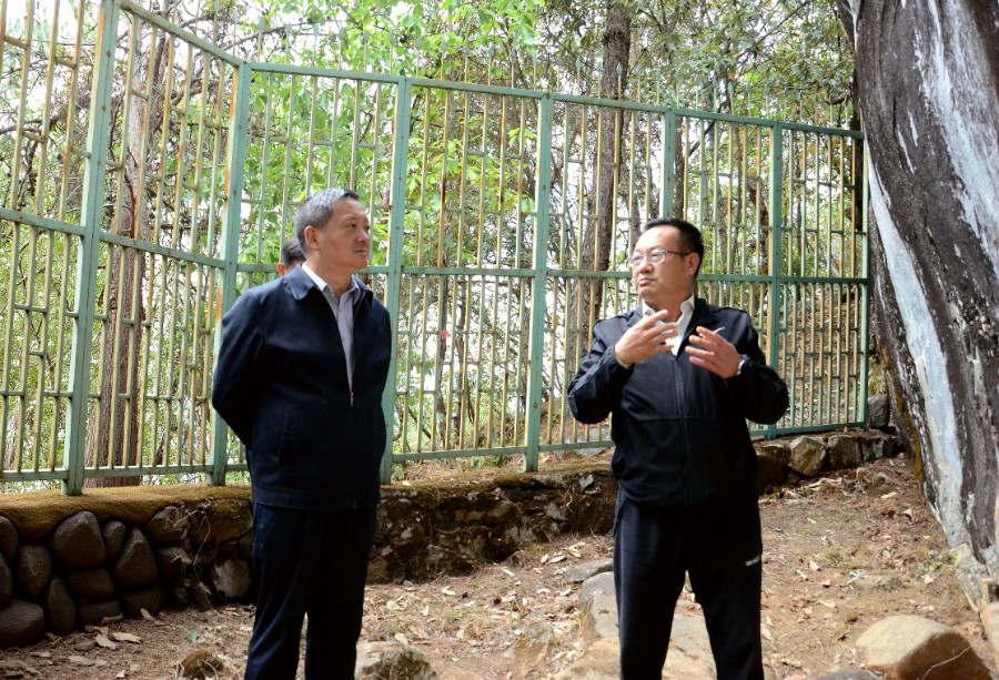 杨国宗在苍山西镇金牛村实地察看了解苍山崖画保护情况。_proc_副本.jpg