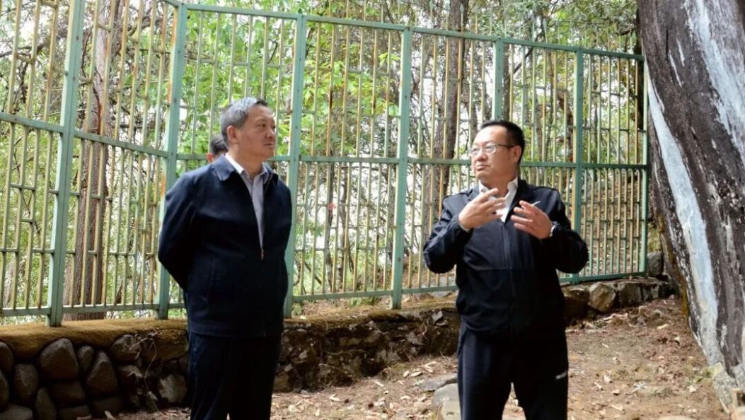 杨国宗在漾濞县调研时强调 因地制宜推动产业转型升级 培育壮大高质量发展新动能