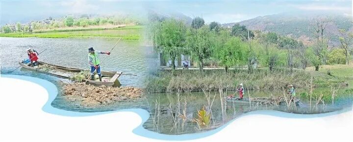 真抓实干护生态 水清岸绿花更红