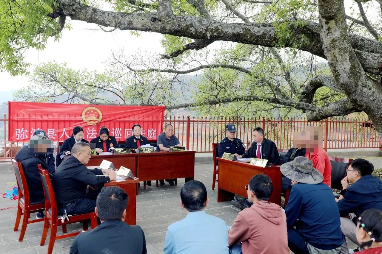 庭审进村、法官讲课、代表点赞——这场“法治公开课”有何不同？