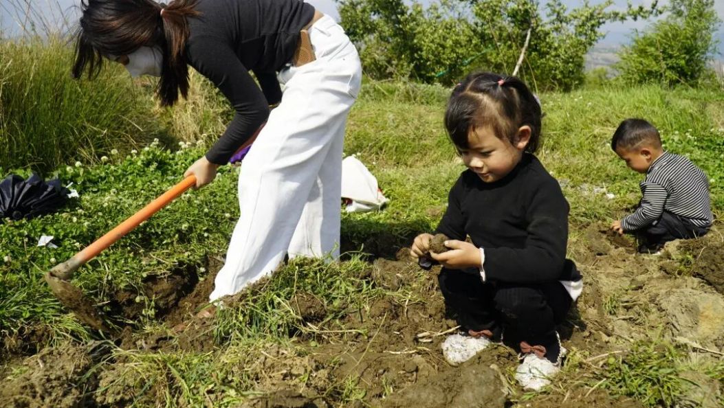 大理50亩荸荠免费挖！全网刷屏背后，是一个亏本却暖心的故事