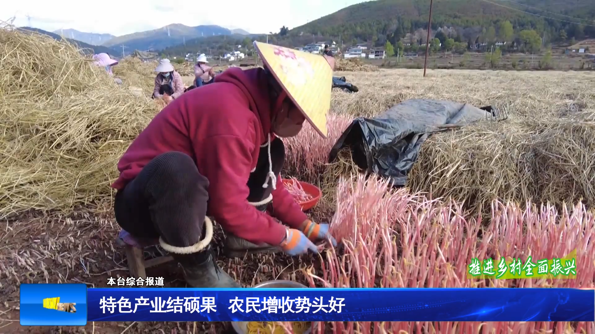 特色产业结硕果 农民增收势头好