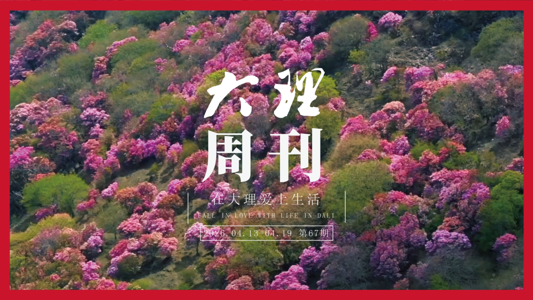 《大理周刊》第67期 #在大理爱上生活 #大理周刊