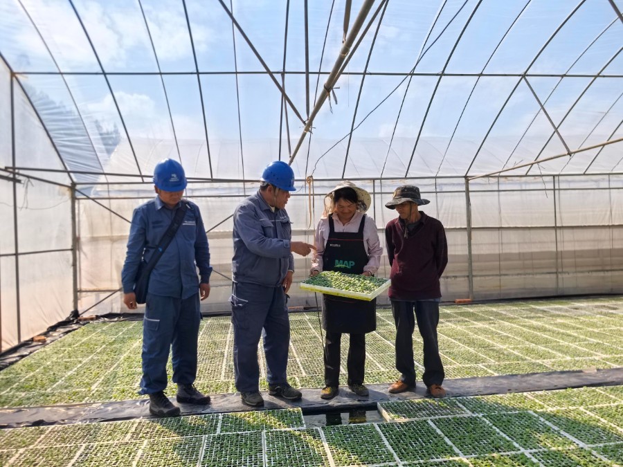 烟苗破土迎新生 电力护航筑牢丰收根基3.jpg
