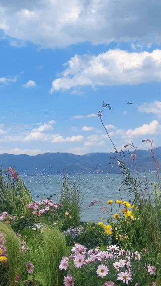 氛围感拉满的大理春天，果然适合“开机”