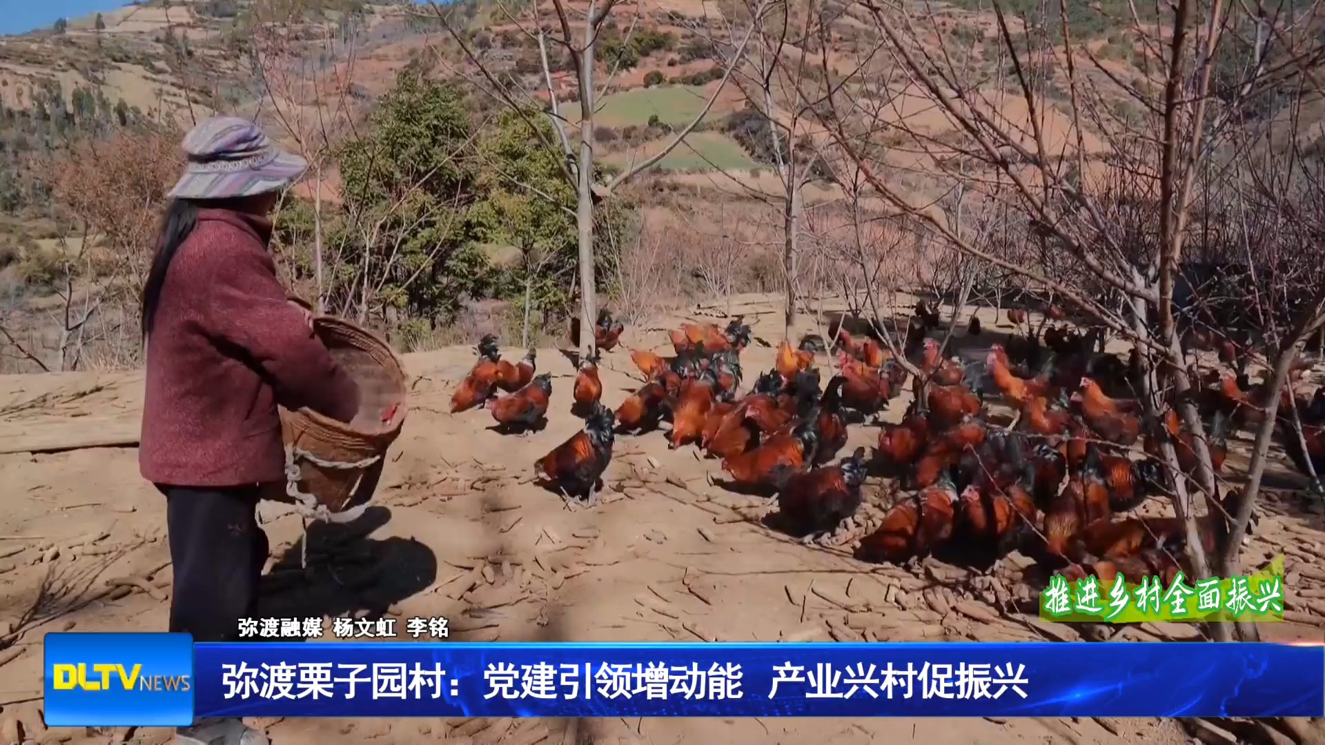 弥渡栗子园村：党建引领增动能 产业兴村促振兴