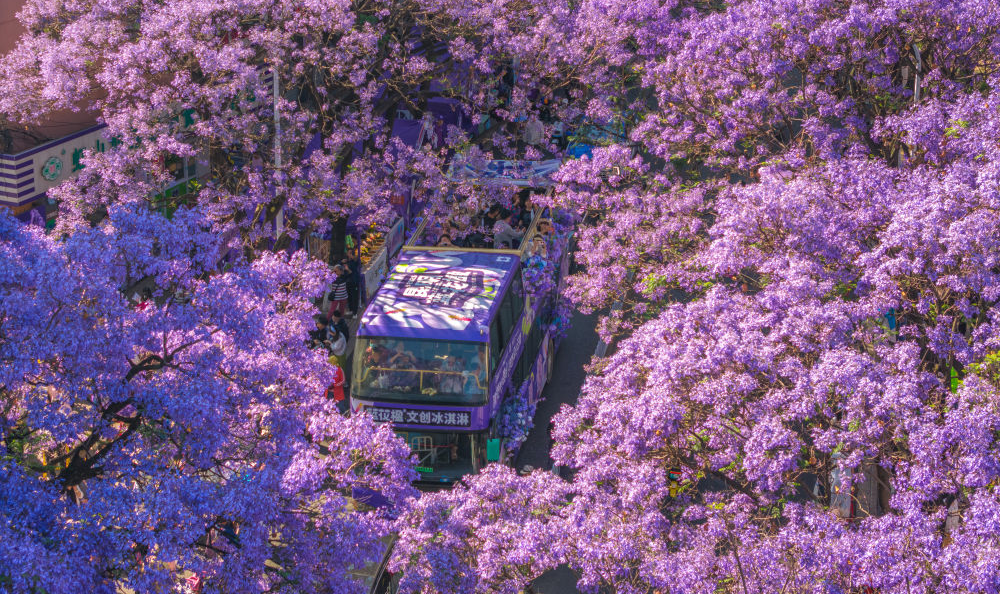 从“有一种生活”到“创一种未来”