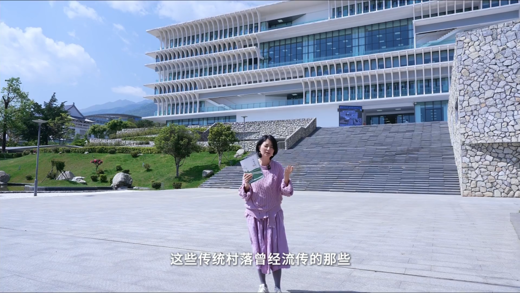 曾说大理第487期