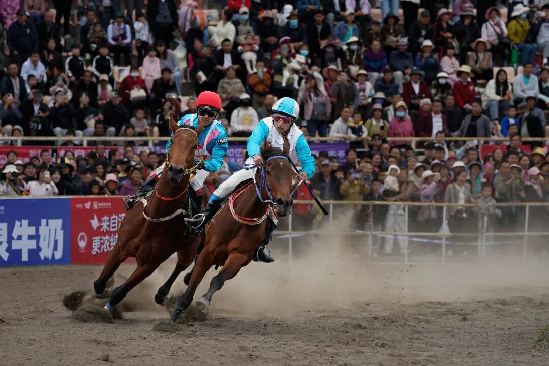 跑了1300多年，三月街C位只属于它！只决一个“马王”