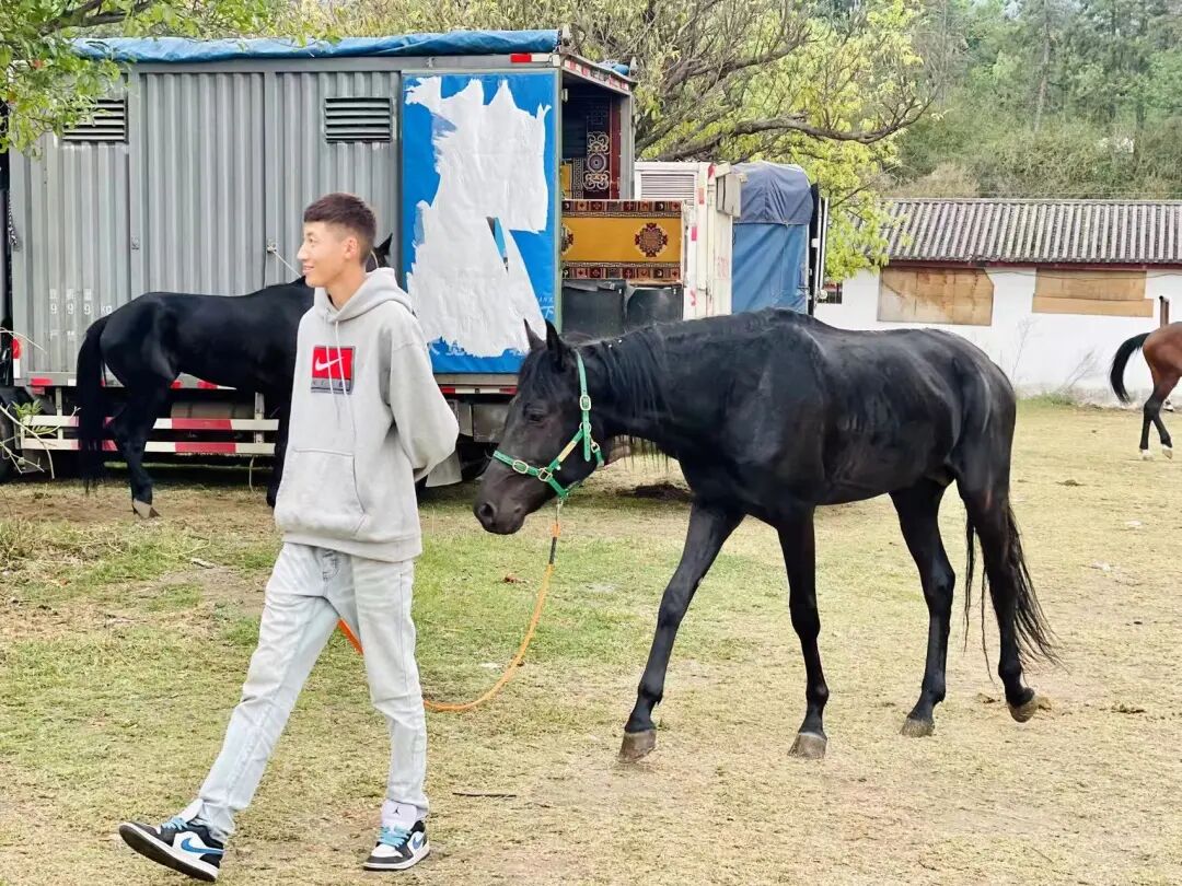 赛马已就位，“马王”之争悬念拉满~~~