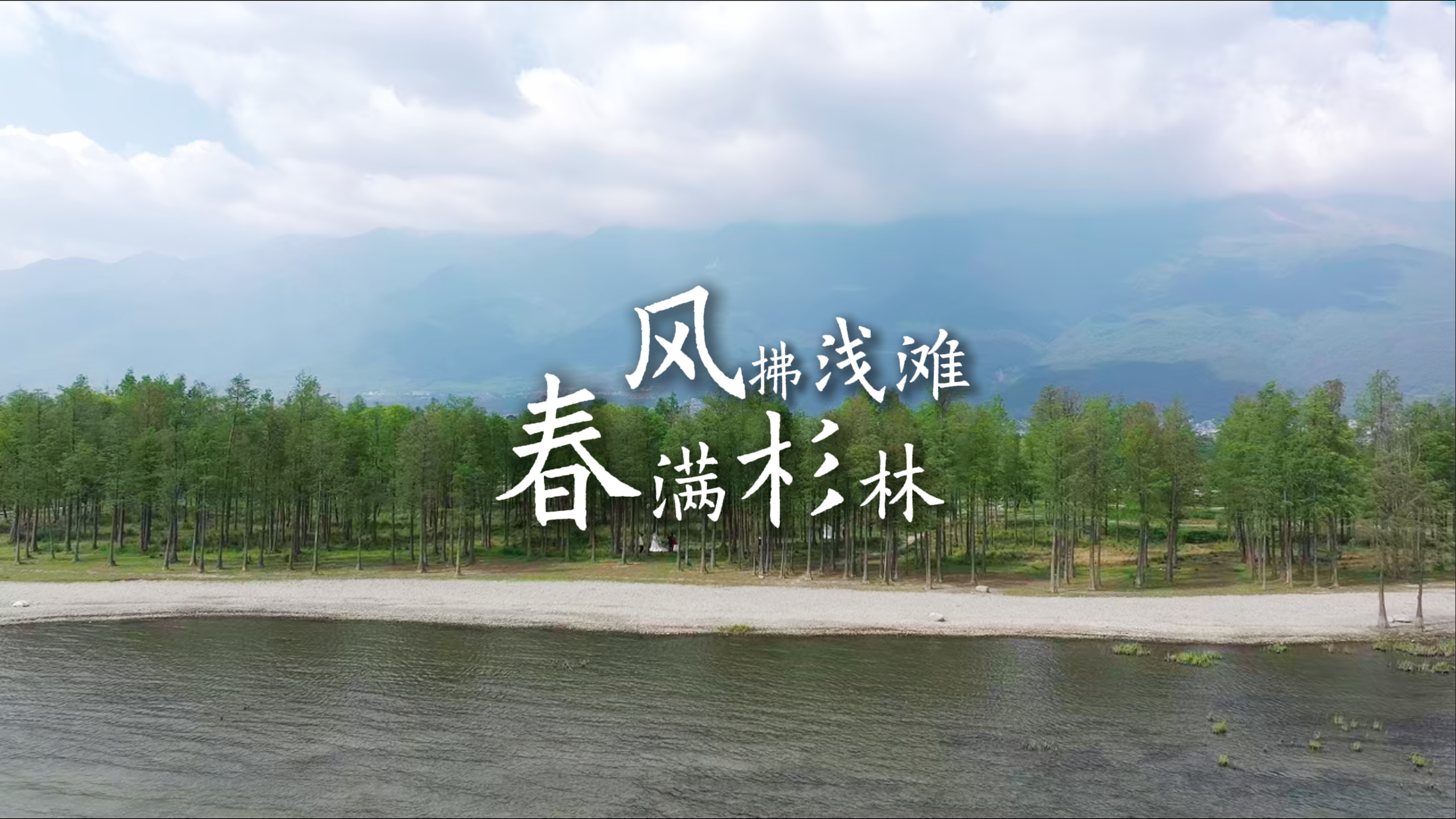 #在大理爱上生活 到富美邑，赴一场水杉林与洱海沙滩的春日约会 #这里是大理 #人类心灵栖居地大理