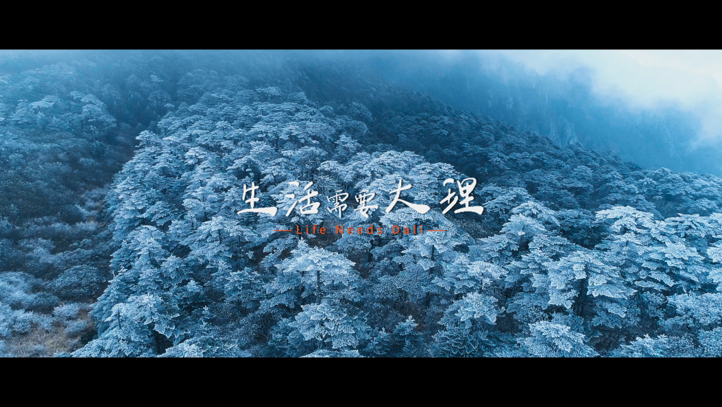 《生活需要大理》 ：真正的“风花雪月”，不止是眼里的风景，还有你心里的宁静与欢喜。#旅行推荐官 #旅行的意义 #民族特色民族文化 #在大理爱上生活 