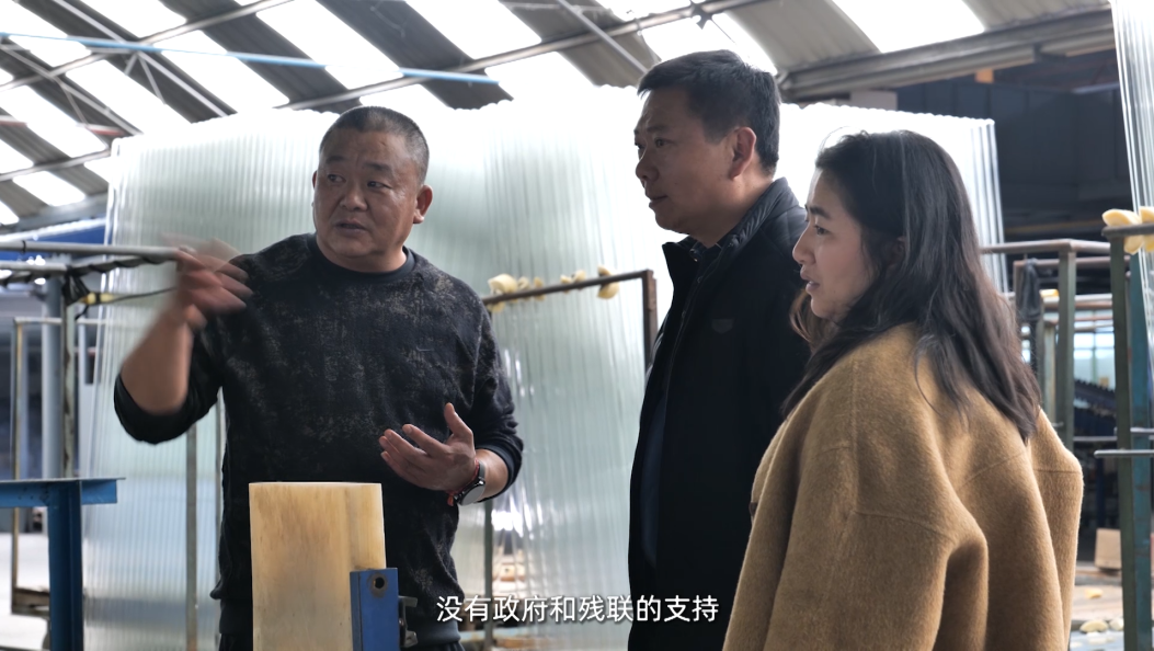 大理党建第244期