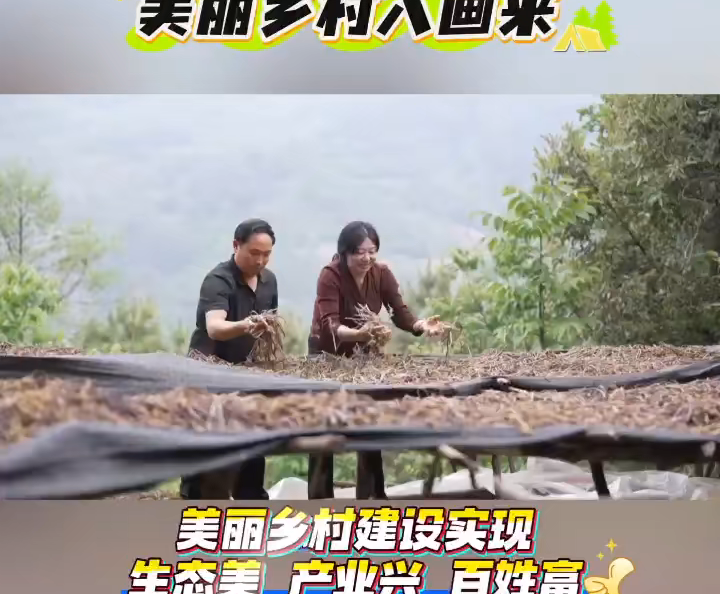 漾濞石竹村：以“花”为媒，产业为基，走出了一条生态美、产业兴、百姓富的发展新路子。#美丽乡村#乡村振兴