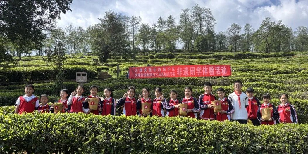 非遗传承｜指尖传承非遗技艺，春茶研学浸润童心——大理文化生态保护区传统制茶技艺非遗研学活动圆满结束