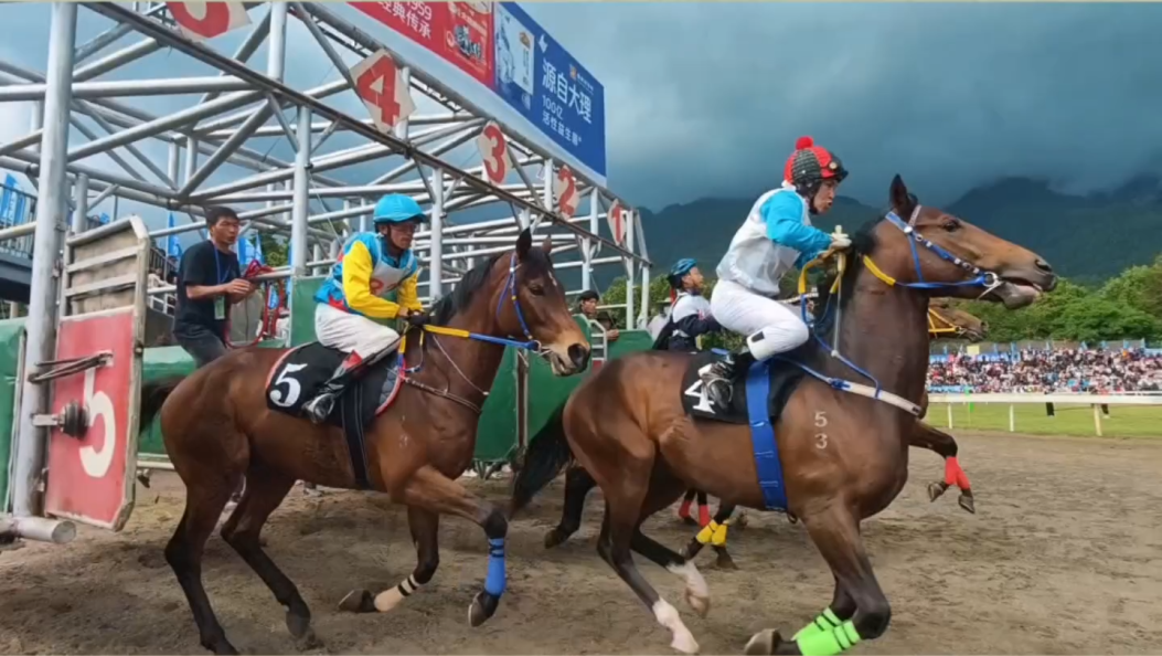 策马扬鞭，谁会是今年的苍洱马王？#大理三月街#赛马#在大理爱上生活
