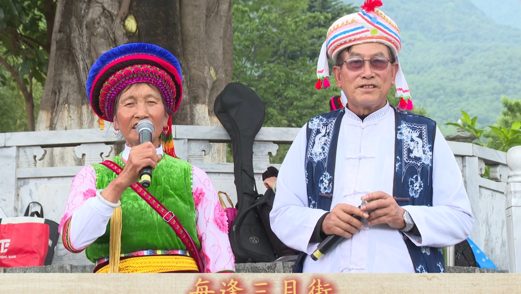 一年一度三月街 大青树下歌声扬#大理三月街 #在大理爱上生活