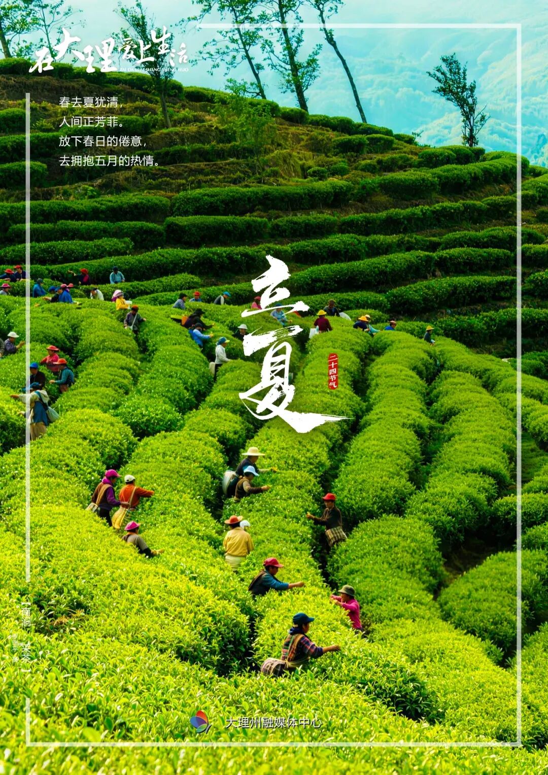 今日立夏：绿树阴浓夏日长，楼台倒影入池塘|在大理爱上生活