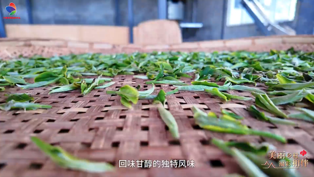 地名故事罗伯克