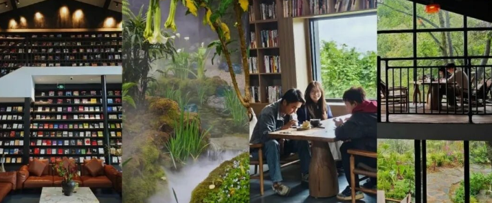 海拔2300米  ，苍山脚下这家“不走寻常路”的森林书屋何以火“出圈”？
