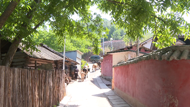 山水间的村庄 | 永平梅花村：乡村“细梳妆”，幸福有质感