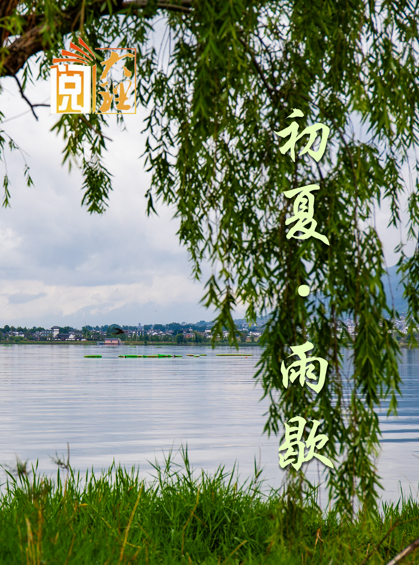 #在大理爱上生活 雨停风静苍洱柔#这里是大理 #旅居大理品味乡愁  #阅读大理#大理70正芳华