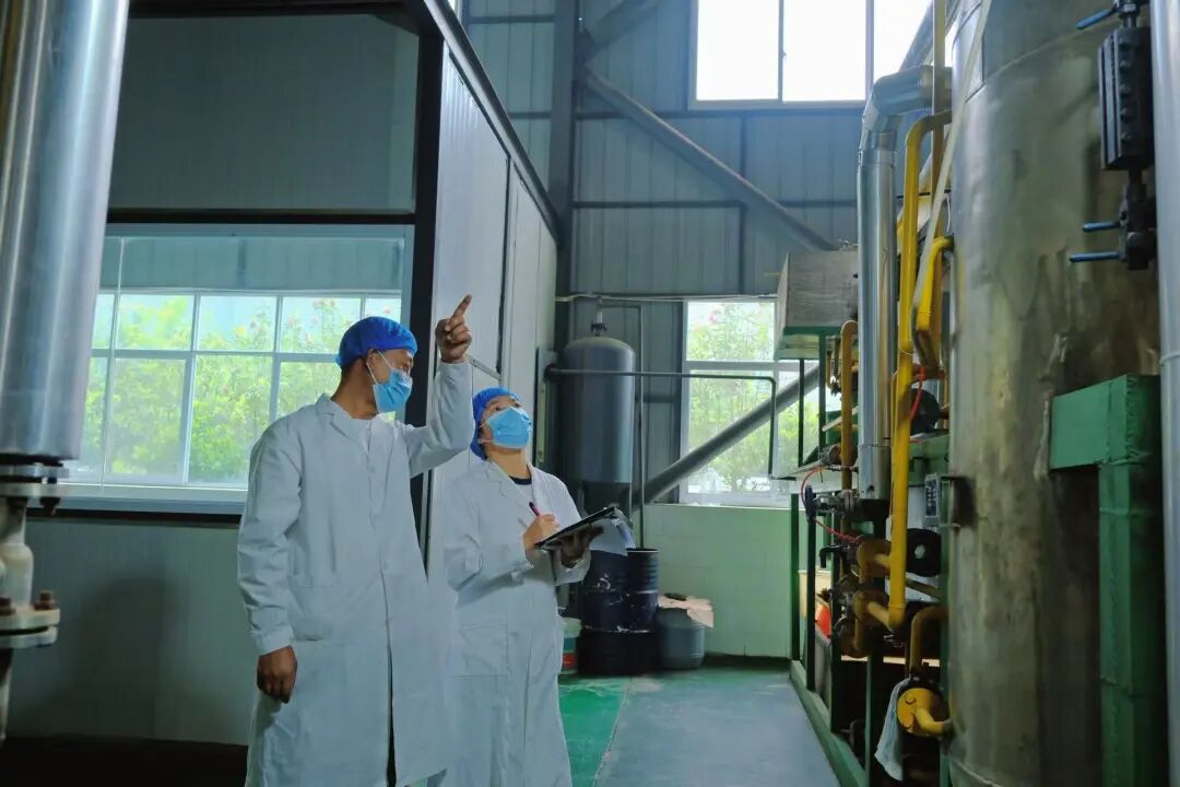 菜籽油加工(杨滢铢摄)1.jpg