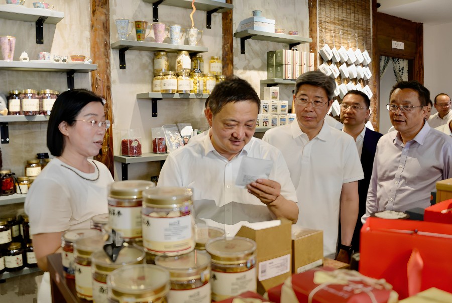 5月12日下午，在浦东新区曹路镇群乐村有风小院，大理州党政代表团实习学习消费协作和文旅融合工作经验1_proc_副本.jpg
