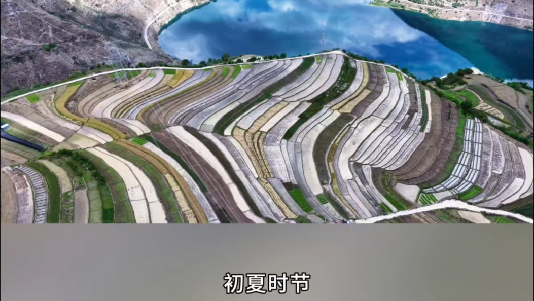 初夏时节，奔流不息的澜沧江边，连片的梯田渐披“绿装”，天光云影绘就斑斓壮阔的夏日图景。#在大理爱上生活.mp4