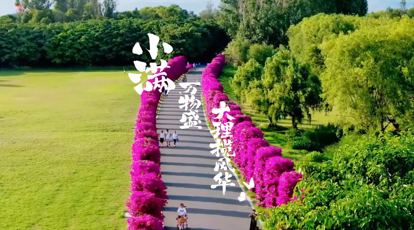 #在大理爱上生活 小满万物盛 大理揽风华 #人类心灵栖居地大理 #二十四节气