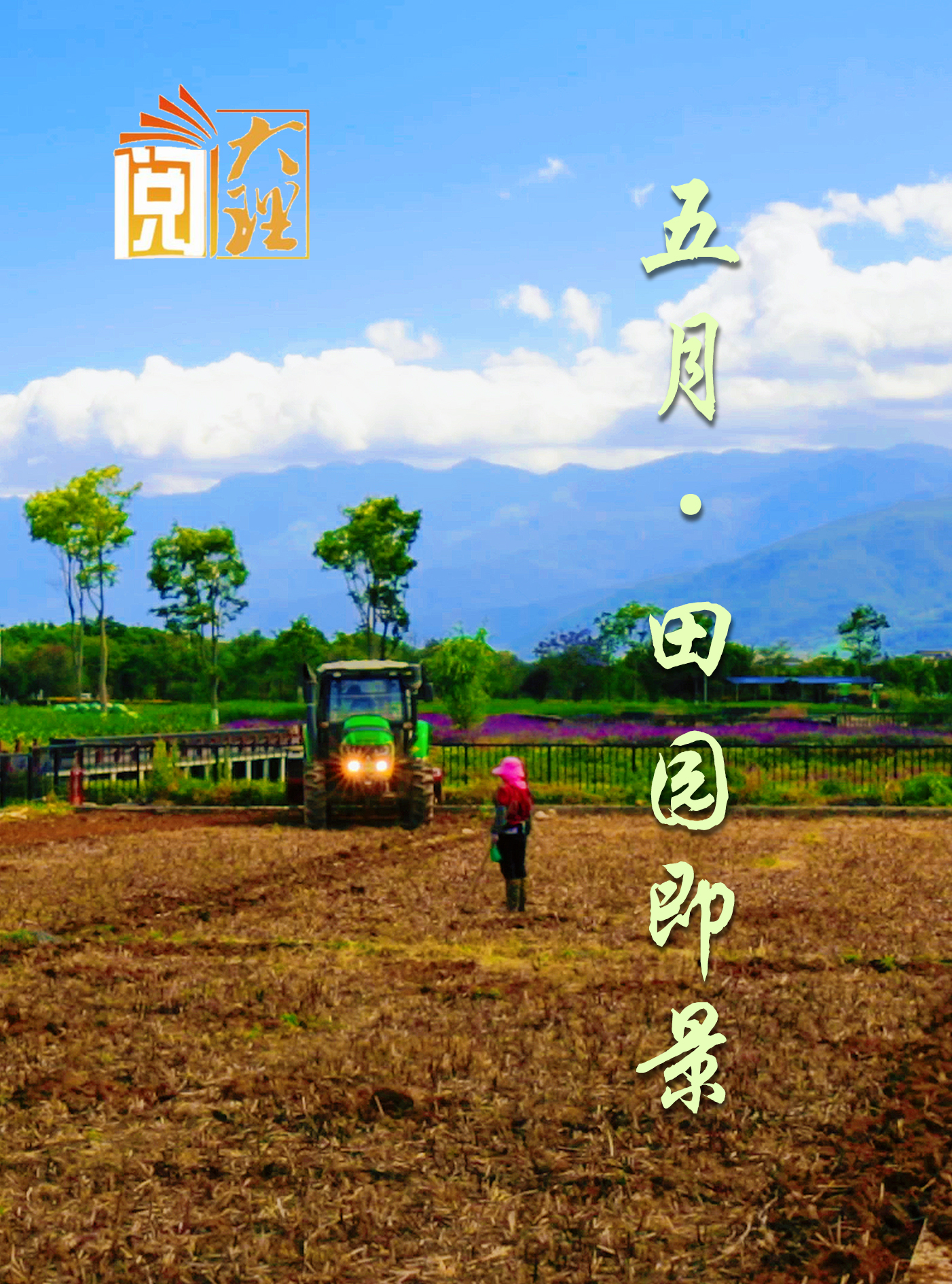 #在大理爱上生活 五月 苍山脚下田园即景#这里是大理 #旅居大理品味乡愁  #阅读大理#大理70正芳华
