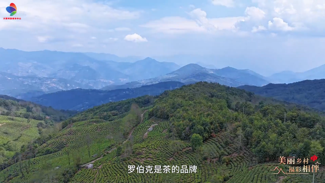 罗伯克