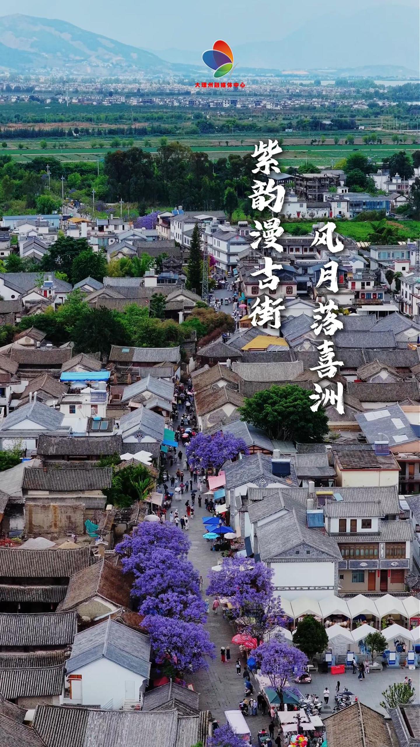 赴一场喜洲花事，在古巷楹花间邂逅初夏浪漫。#在大理爱上生活