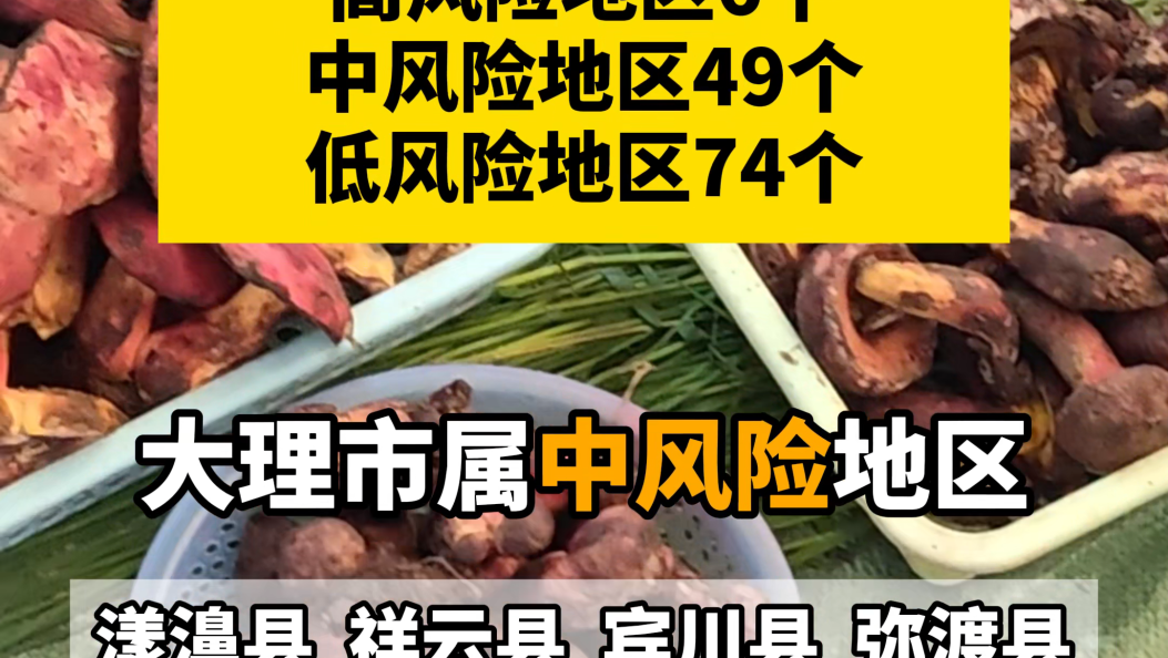 2026版云南省野生菌中毒风险地图发布！大理1地“中风险”11地“低风险”！ #大理 #野生菌 #食品安全 #重要提示
