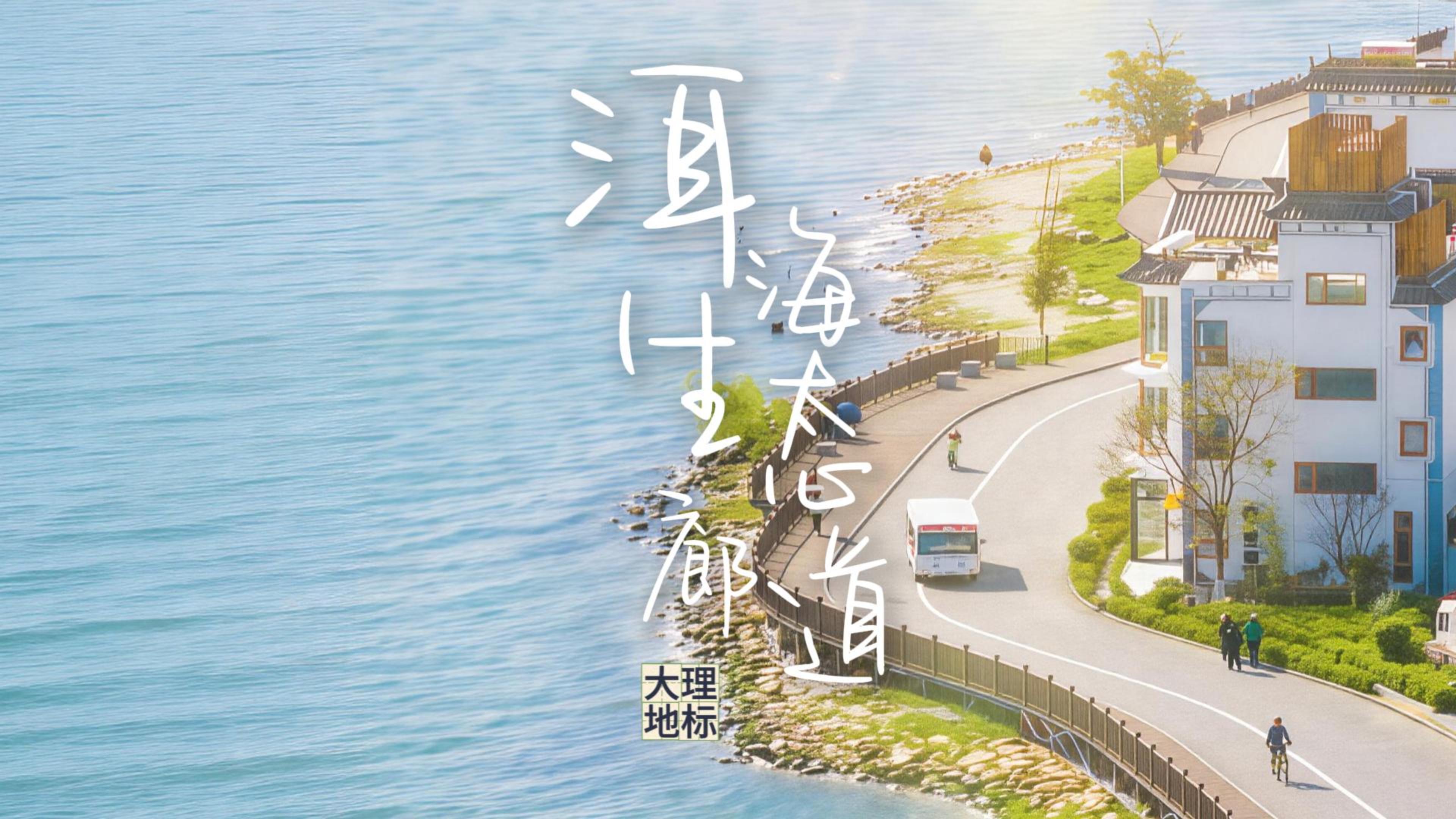 #在大理爱上生活 不止“网红打卡地”，更是”洱海净化器“  #人类心灵栖居地大理 #2026洱海论坛#大理70正芳华