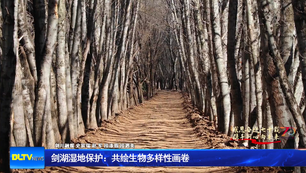 剑湖湿地保护：共绘生物多样性画卷